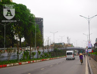 [Ảnh] Chiêm ngưỡng loài hoa 