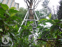 [Ảnh] Chiêm ngưỡng loài hoa 