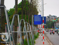 [Ảnh] Chiêm ngưỡng loài hoa 