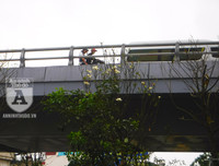 [Ảnh] Chiêm ngưỡng loài hoa 