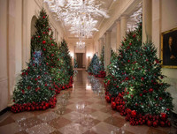 Tưng bừng không khí Giáng sinh ở các nước