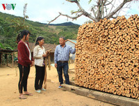 [ẢNH] Những phong tục cưới hỏi có 