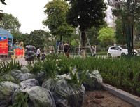 [ẢNH] Cờ đỏ sao vàng, biểu ngữ rợp trời Hà Nội mừng các ngày Lễ lịch sử của đất nước