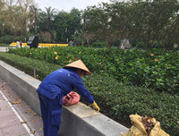 [ẢNH] Cờ đỏ sao vàng, biểu ngữ rợp trời Hà Nội mừng các ngày Lễ lịch sử của đất nước