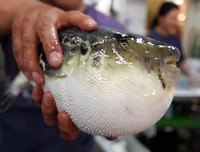 [ẢNH] Những món hải sản 