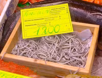 [ẢNH] Những món hải sản 