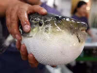 [ẢNH] Những món hải sản 