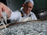 [ẢNH] Những món hải sản 