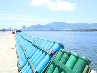 Pháo hoa quốc tế Đà Nẵng: Hình ảnh ấn tượng về cuộc so tài giữa Anh và Trung Quốc