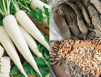 [ẢNH] 13 đặc sản nức tiếng có tên gọi 