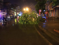 [ẢNH] Hà Nội: Phố thành 