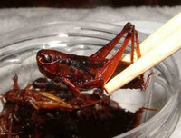 [ẢNH] Top 10 món ăn Nhật Bản khó nuốt nhất với du khách