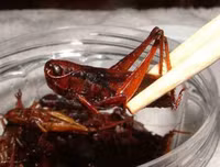 [ẢNH] Top 10 món ăn Nhật Bản khó nuốt nhất với du khách