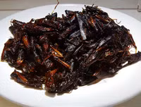 [ẢNH] Top 10 món ăn Nhật Bản khó nuốt nhất với du khách