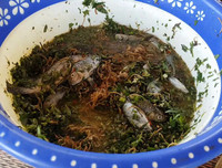 [ẢNH] Những đặc sản lạ ở vùng Tây Bắc