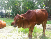 [ẢNH] Cảnh giác trước 10 vật dụng có thể là 