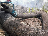 Indonesia: Bầu trời 