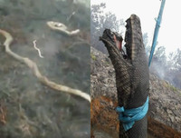 Indonesia: Bầu trời 