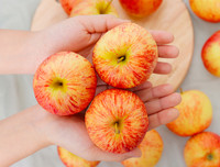 [ẢNH] Điểm danh những thực phẩm giảm cân ăn 