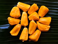 [ẢNH] Những đại kỵ khi ăn mít cần biết để tránh 