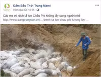 [ẢNH] Vụ người lạ bôi mặt, cầm đầu gà ăn xin: Cảnh giác những trò bịa đặt xấu xí