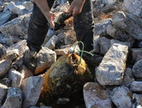 [ẢNH] Rợn người với 9 món ăn 