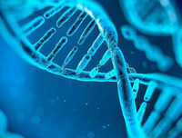 [ẢNH] Những phát hiện khoa học quan trọng của các nước về virus corona