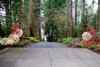 [ẢNH] Chiêm ngưỡng nhưng khu phố thiên đường, nơi 