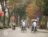 [ẢNH] Lãng mạn Hà Nội mùa cây thay lá
