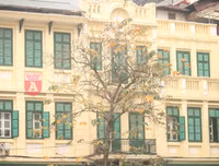 [ẢNH] Lãng mạn Hà Nội mùa cây thay lá