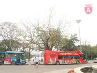 [ẢNH] Lãng mạn Hà Nội mùa cây thay lá