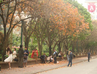 [ẢNH] Lãng mạn Hà Nội mùa cây thay lá