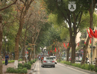 [ẢNH] Lãng mạn Hà Nội mùa cây thay lá