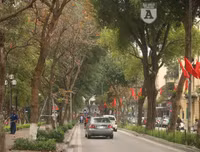 [ẢNH] Lãng mạn Hà Nội mùa cây thay lá