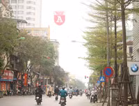 [ẢNH] Lãng mạn Hà Nội mùa cây thay lá