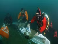 [ẢNH] Top 10 cuộc thi kỳ quặc và hài hước nhất thế giới