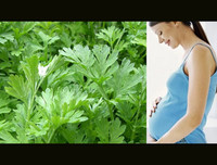 [ẢNH] 3 loại rau quả có vị đắng nhưng cực tốt cho sức khỏe