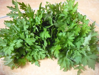 [ẢNH] 3 loại rau quả có vị đắng nhưng cực tốt cho sức khỏe