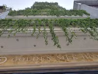 [ẢNH] Diễn biến cuộc chiến chống dịch Covid-19 từ khi xuất hiện bệnh nhân 17 tại Hà Nội