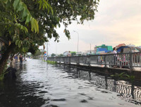 [ẢNH] TP.HCM: Triều cường dâng gây vỡ bờ bao, nước 