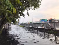 [ẢNH] TP.HCM: Triều cường dâng gây vỡ bờ bao, nước 