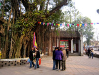 [ẢNH] Du Xuân đầu năm không thể bỏ qua 