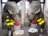 [ẢNH] Du Xuân đầu năm không thể bỏ qua 