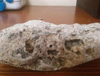 [ẢNH] Top 6 loại gia vị 