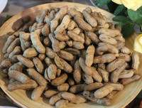 [ẢNH] Độc đáo không gian ăn chay đúng Kỷ niệm 65 năm ngày Giải phóng Thủ đô 10-10