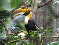 [ẢNH] Top 3 loài động vật nổi tiếng chung thủy với bạn tình