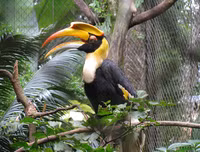 [ẢNH] Top 3 loài động vật nổi tiếng chung thủy với bạn tình