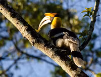 [ẢNH] Top 3 loài động vật nổi tiếng chung thủy với bạn tình