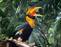 [ẢNH] Top 3 loài động vật nổi tiếng chung thủy với bạn tình