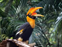 [ẢNH] Top 3 loài động vật nổi tiếng chung thủy với bạn tình